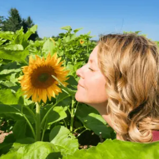 The programs featured image